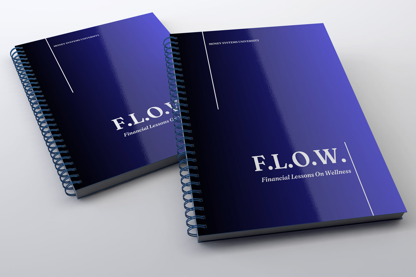 F.L.O.W. Workbook (Physical)